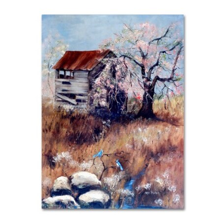 Arie Reinhardt Taylor 'The Old Tater House' Canvas Art,18x24